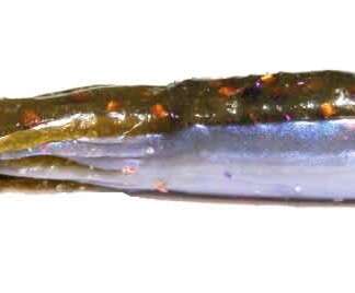 X-ZONE X-TUBE 3.75in 309