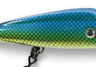 LUCKY PLUG 5in COHO CANDY