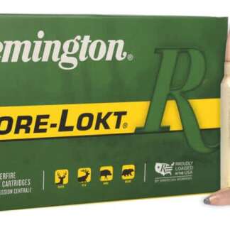 REMINGTON CORE-LOKT 300 WIN MAG 180gr PSP CL 20pk 2960fps