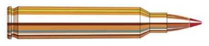 HORNADY SPF VARMINT 204 RUGER 40gr V-MAX 3900fps 20pk - Image 2