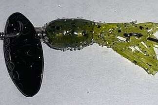 SKOOKUM BAIT PUMPKINSEED